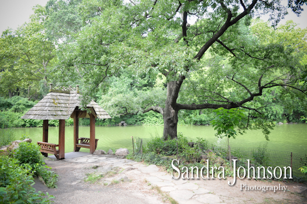 Best Central Park NY Wedding photographer - Sandra Johnson (SJFoto.com)
